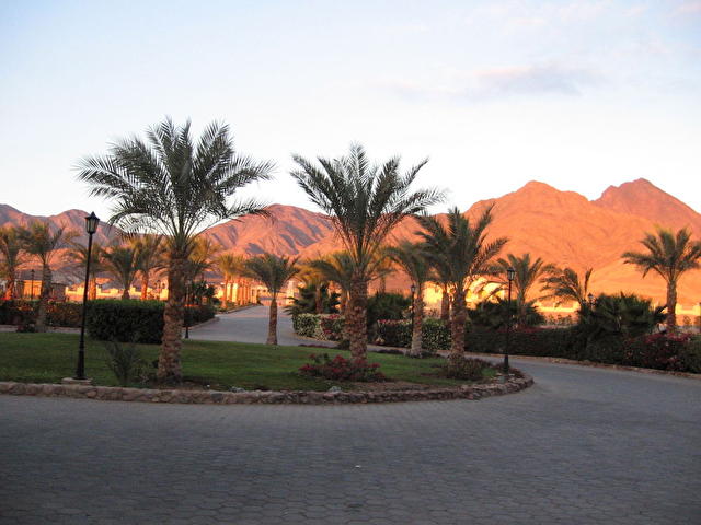 HOLIDAY INN TABA, Египет