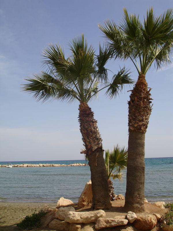 PALM BEACH, Кипр