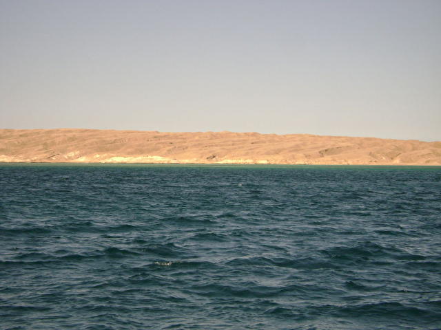 SEA GULL, Египет
