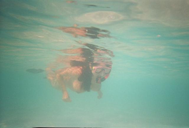 Diving in Cayo Largo