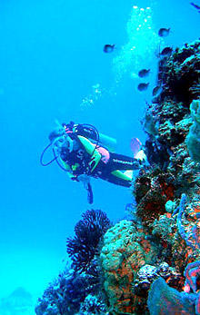 Varadero Diving centers