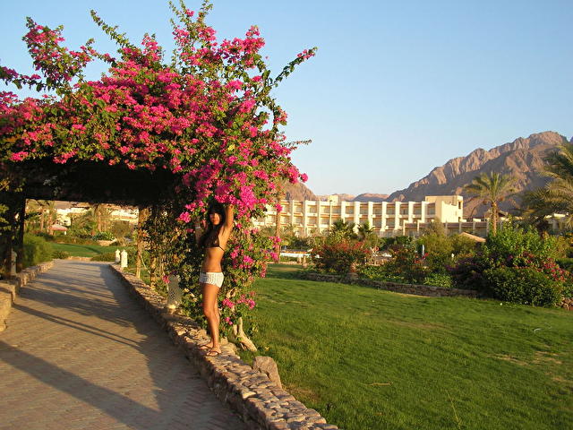 HOLIDAY INN TABA, Египет