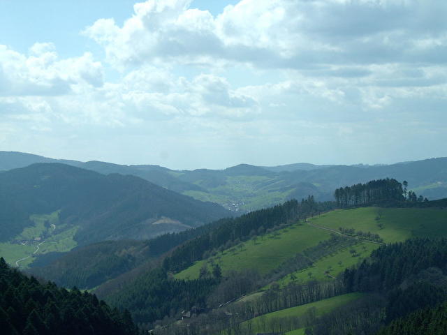 Schwartzwald (Black Forest)