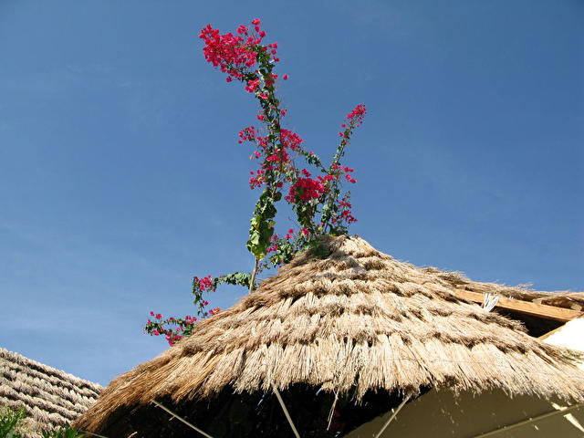 PANORAMA BUNGALOW RESORT HURGHADA, Египет