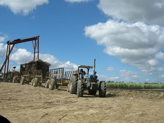 Jeep-safari