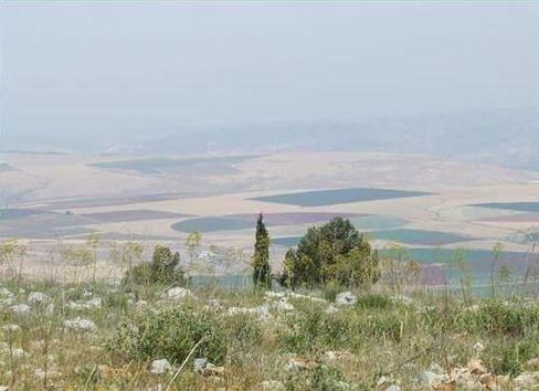 Reserve «Irus ha-Gilboa»