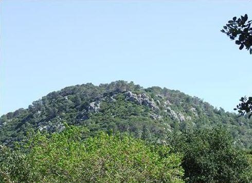 Mount Carmel National Park