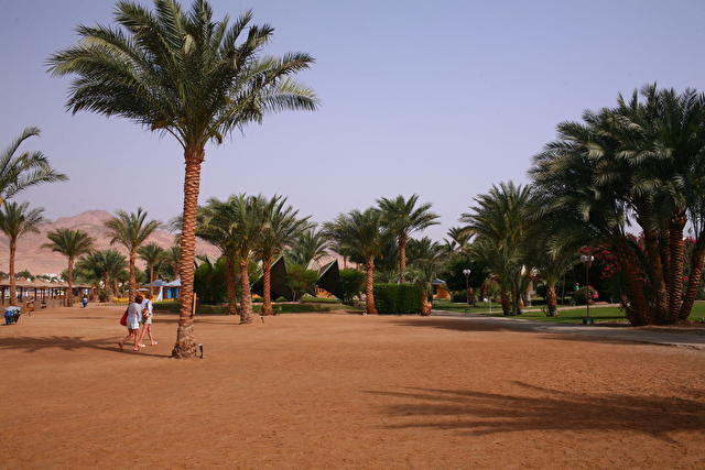 CORALIA (Novotel) DAHAB, Египет
