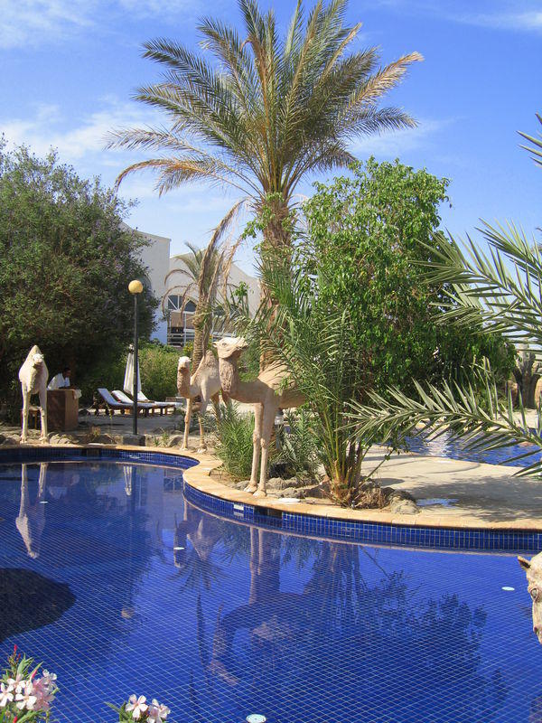 Sheraton Sharm, Египет