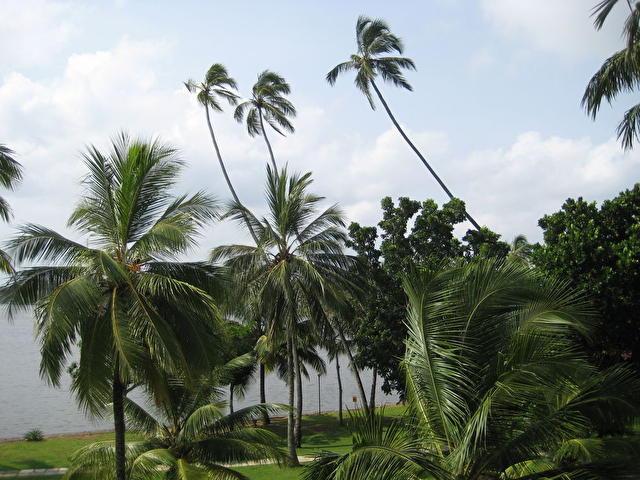 Bentota Beach, Шри-ланка