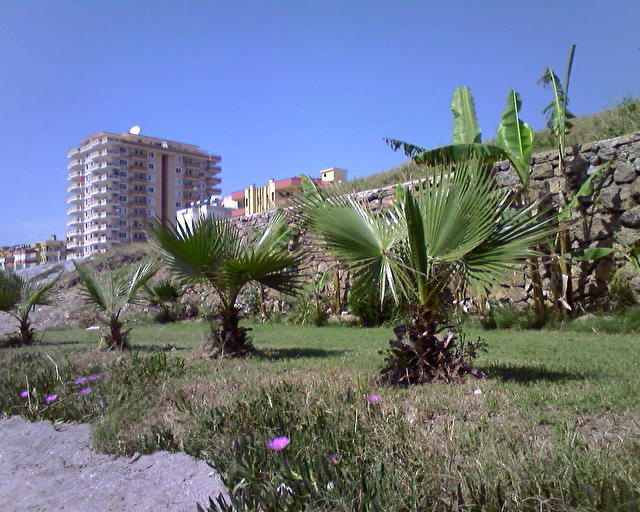 Green Peace, Турция На пляже