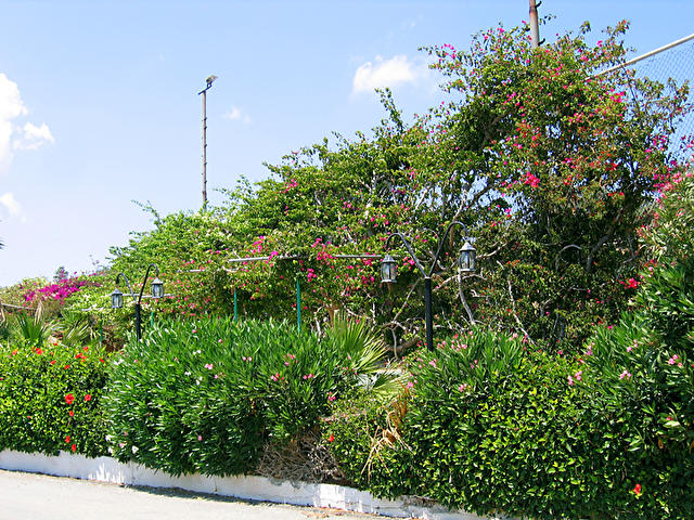 Вид с улицы на территорию отеля. CORFU, Кипр