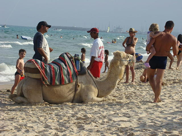 CARIBBEAN WORLD HAMMAMET, Тунис