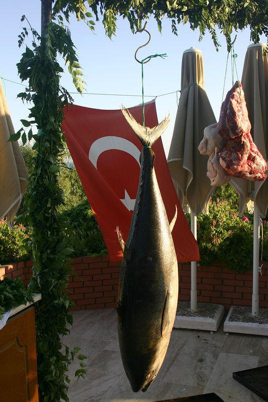 Emir Beach Hotel, Турция
Тунец