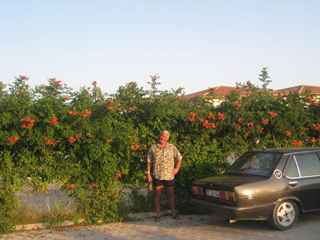 Poseidon Beach Club, Турция