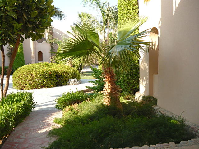 ALI BABA PALACE, Египет