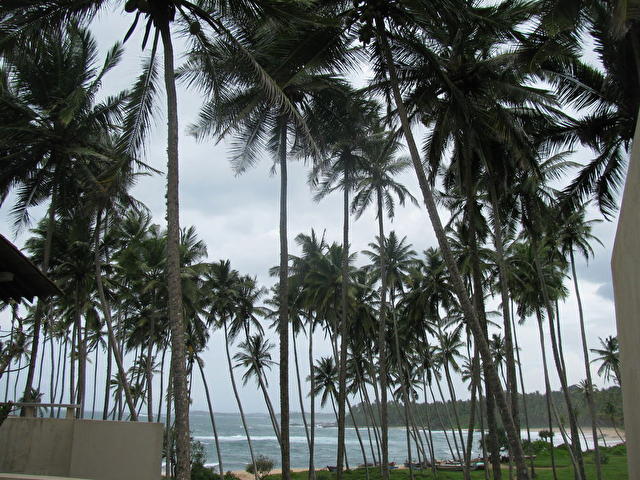 Amanwella Hotel, Шри-ланка