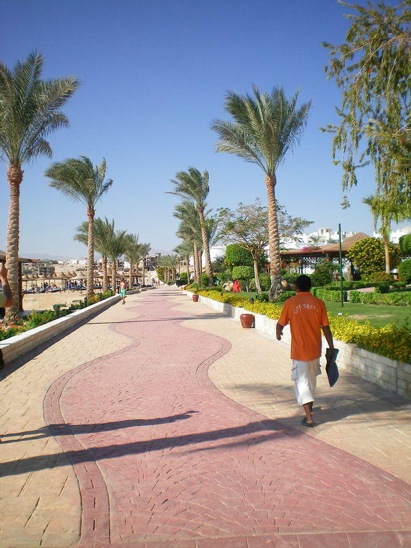 Melia Sinai Sharm, Египет