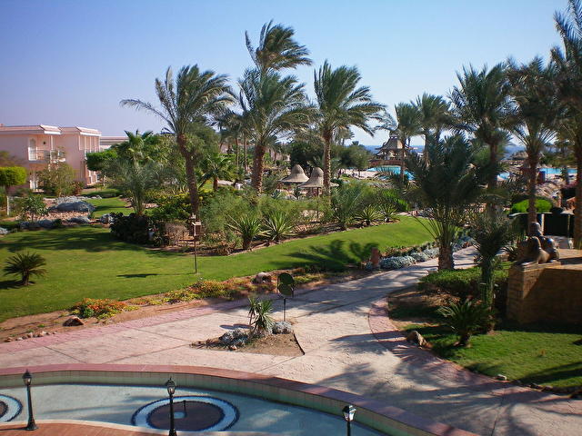 Radisson SAS, Египет