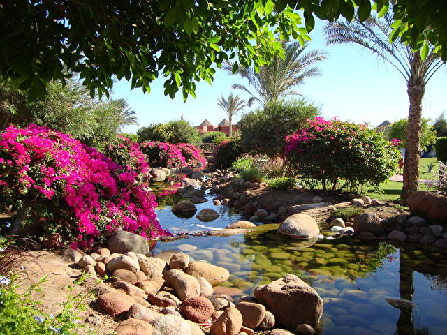 Hostmark Oriental Resort, Египет