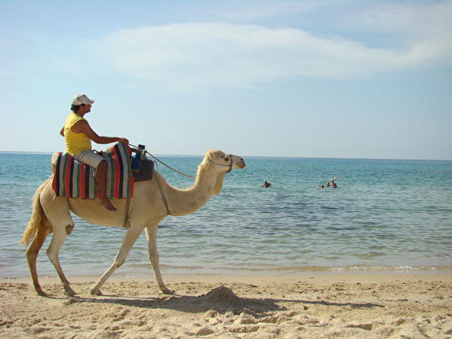 caribbean-world-hammamet-136276