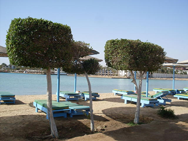 zahabia-village-beach-resort-137888