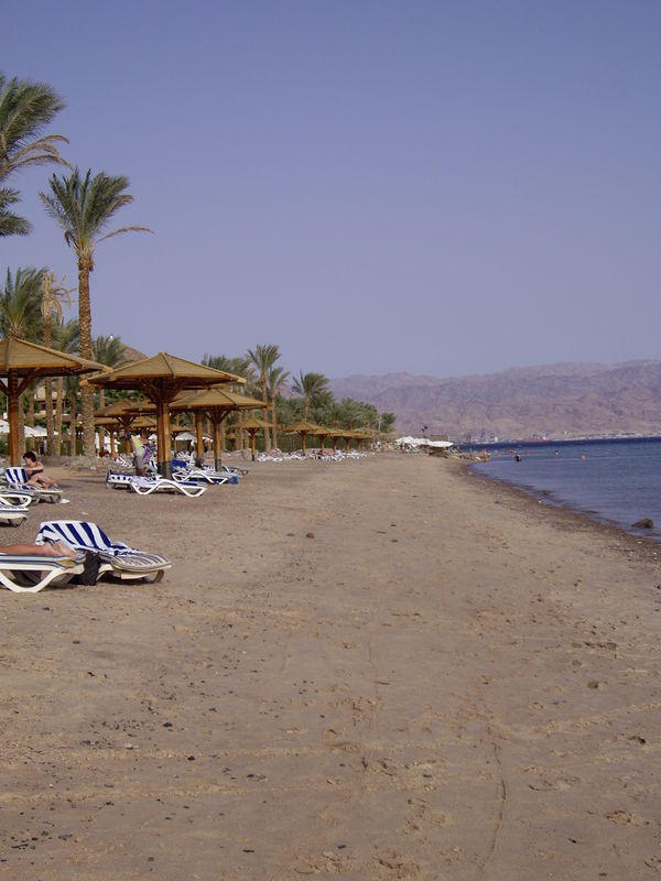 movenpick-resort-taba-137883