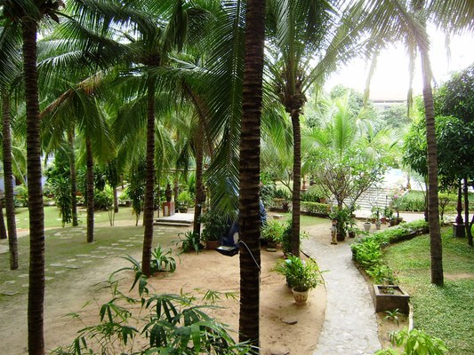 palmira-resort-157884