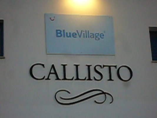 callisto-village-(apt)-161896