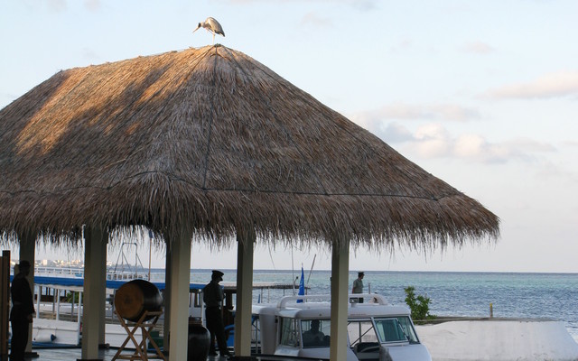 adaaran-prestige-vadhoo-(ex.-vadhoo-island-resort)-162909