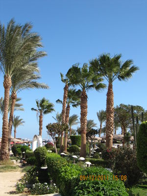 sultan-beach-hotel-166754