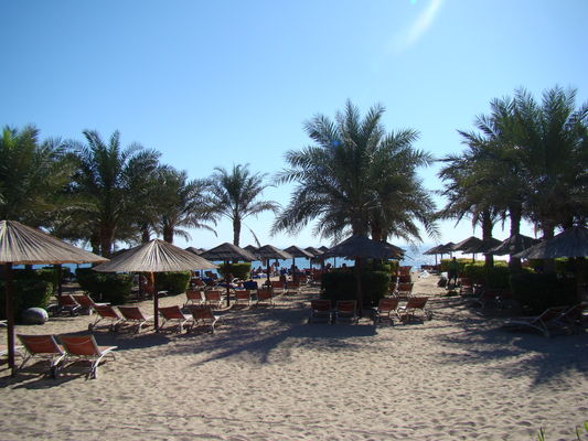 iberotel-miramar-al-aqah-beach-resort-167477