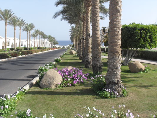 tiran-island-hotel-sharm-(ex.-corinthia-tiran-hotels-&-resort-sharm)-170259