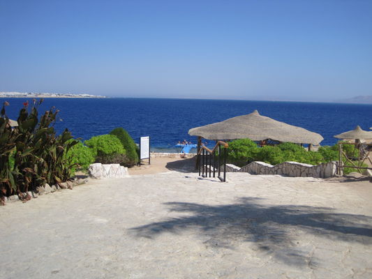 coral-beach-tiran-rotana-resort-(coral-beach-tiran)-177020