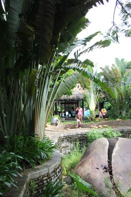 narada-tropical-resort-178160