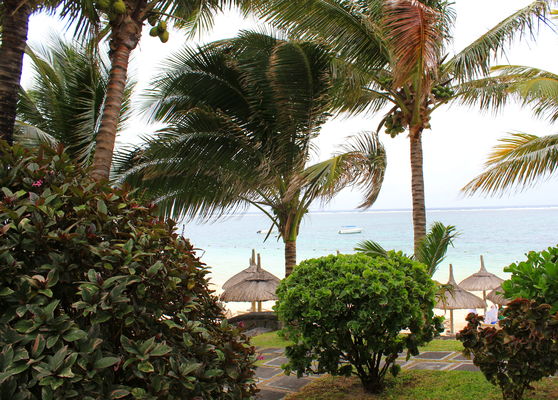 palmar-beach-resort-179469