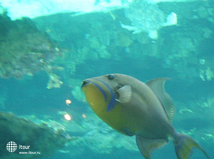 Genoa Aquarium