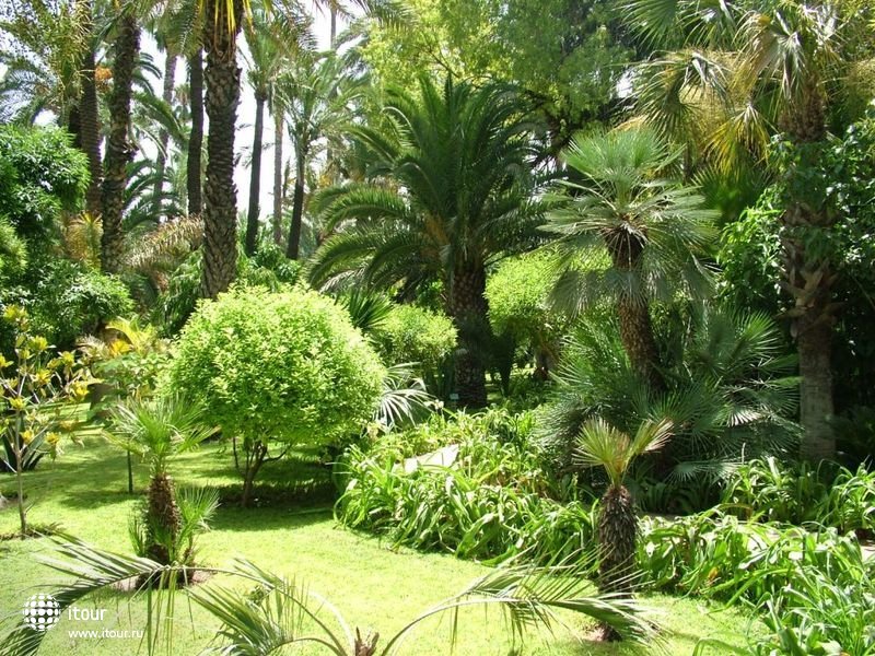 Majorelle garden