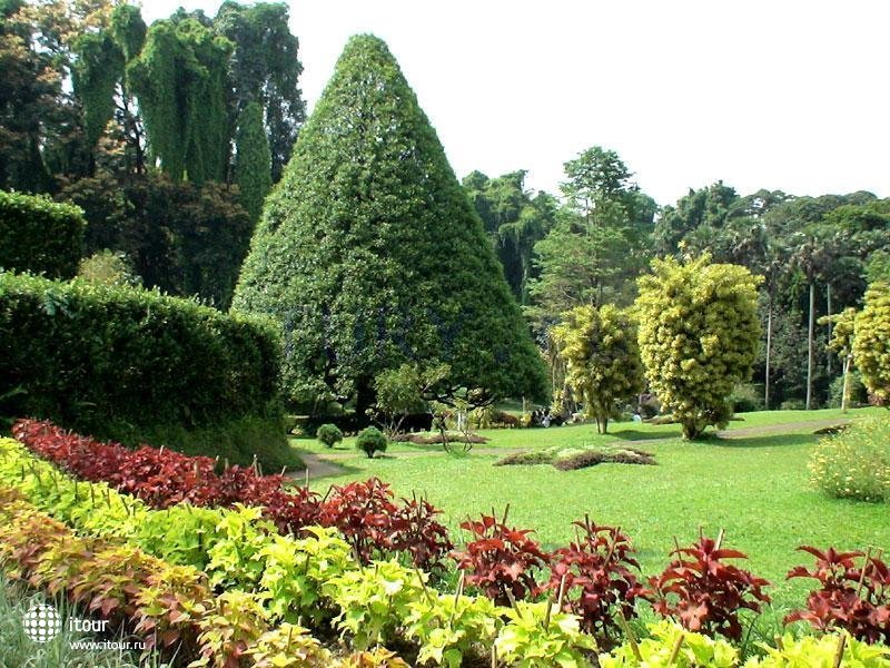 Королевский Ботанический Сад