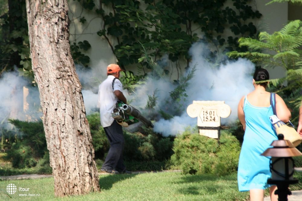 CLUB ZIGANA, Турция
Травят комариков.