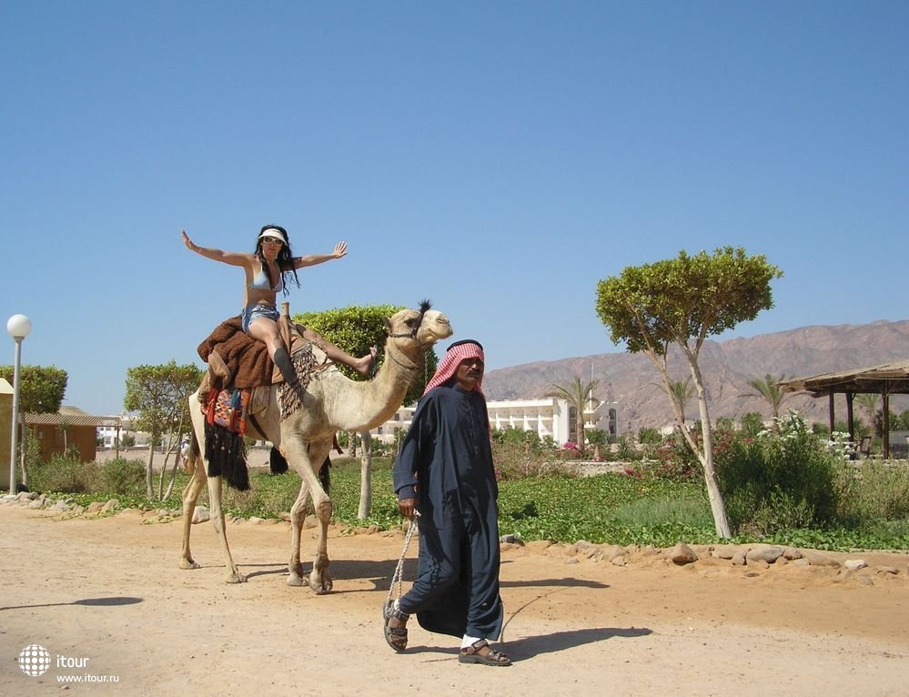 HOLIDAY INN TABA, Египет