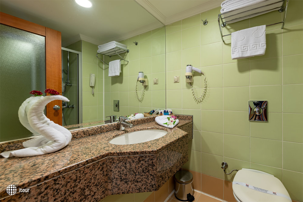 Viking Park Hotel & Spa 8