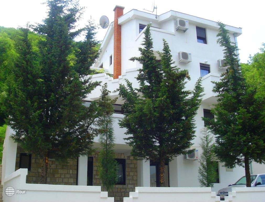 Budvanka Villa  1