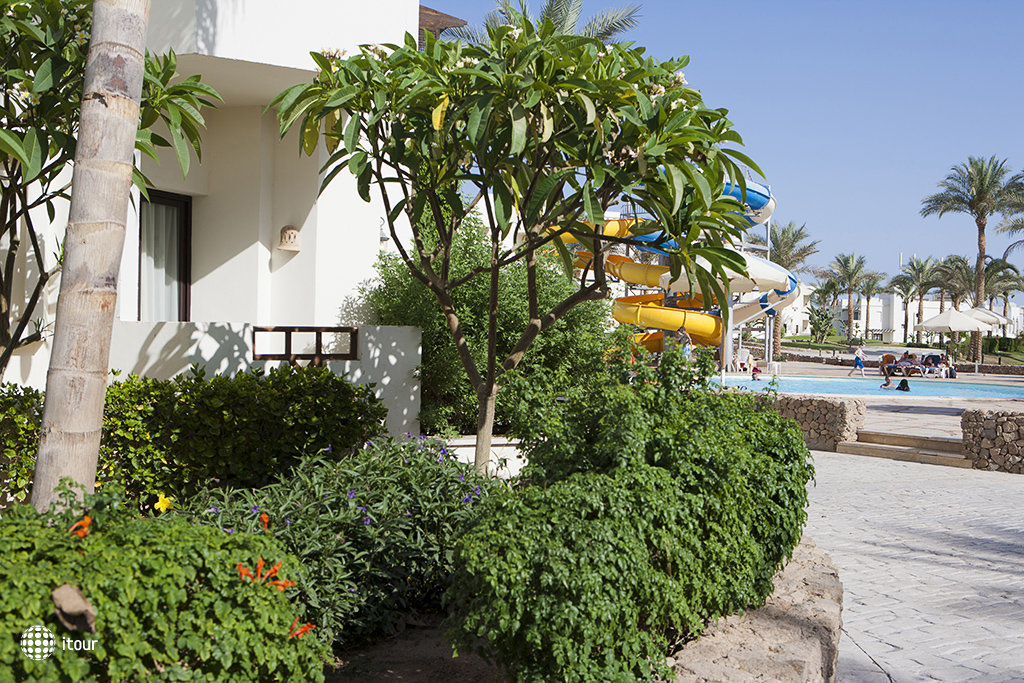 Sharm Resort 4