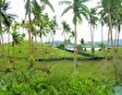 Lomalagi Resort