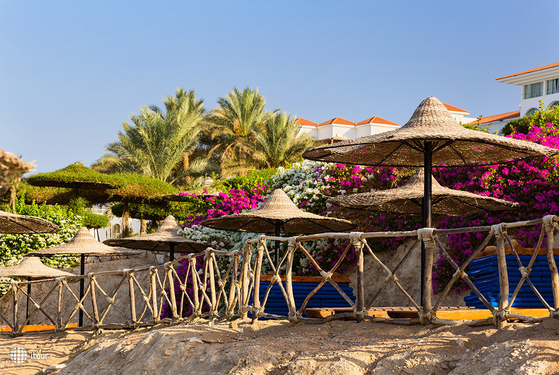 Siva Sharm (ex. Savita Resort) 11