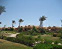 Badawia Resort