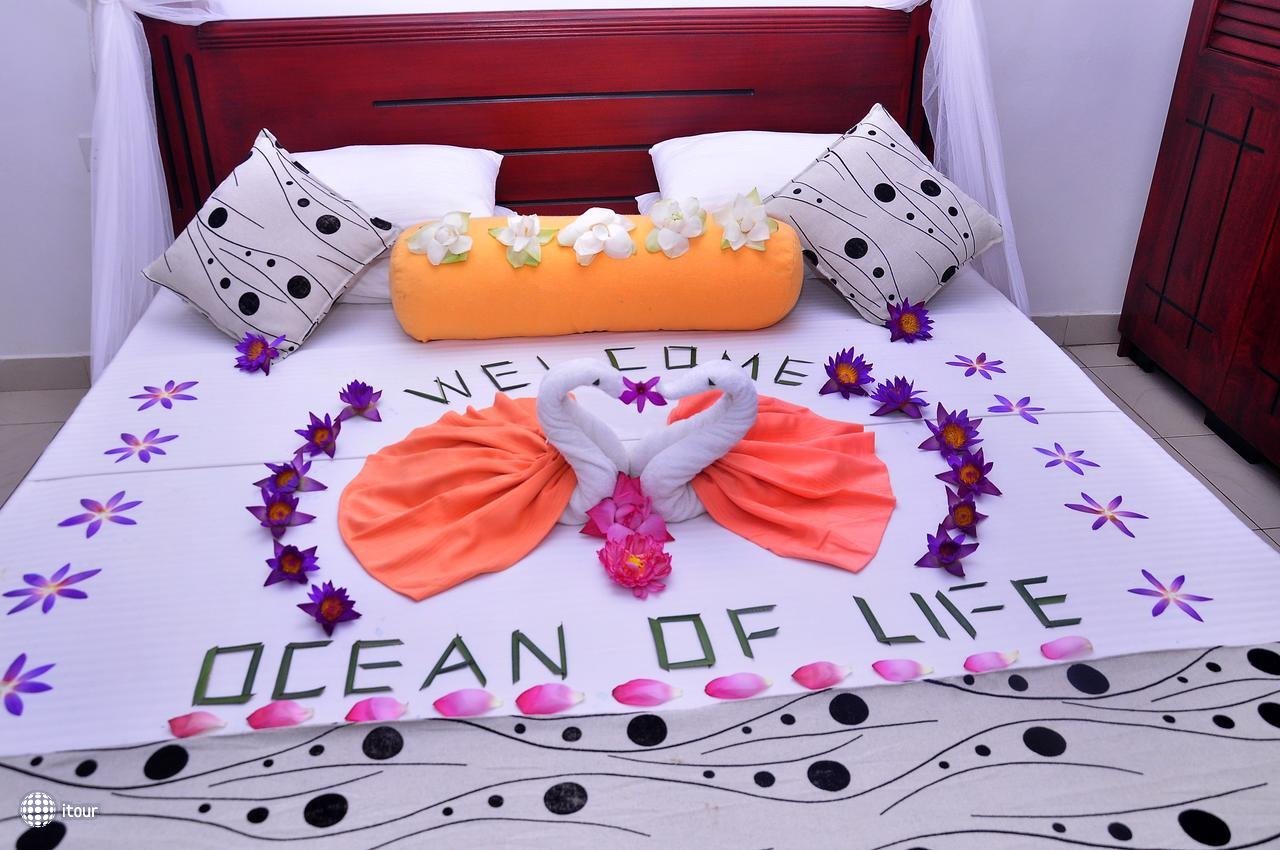 Ocean Of Life Ayurvedic Resort 4