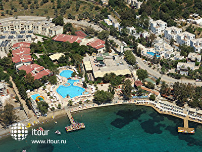 Фото отеля Aegean Holiday Village TMT