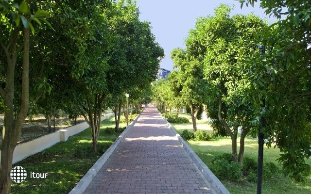 Larissa Park 46